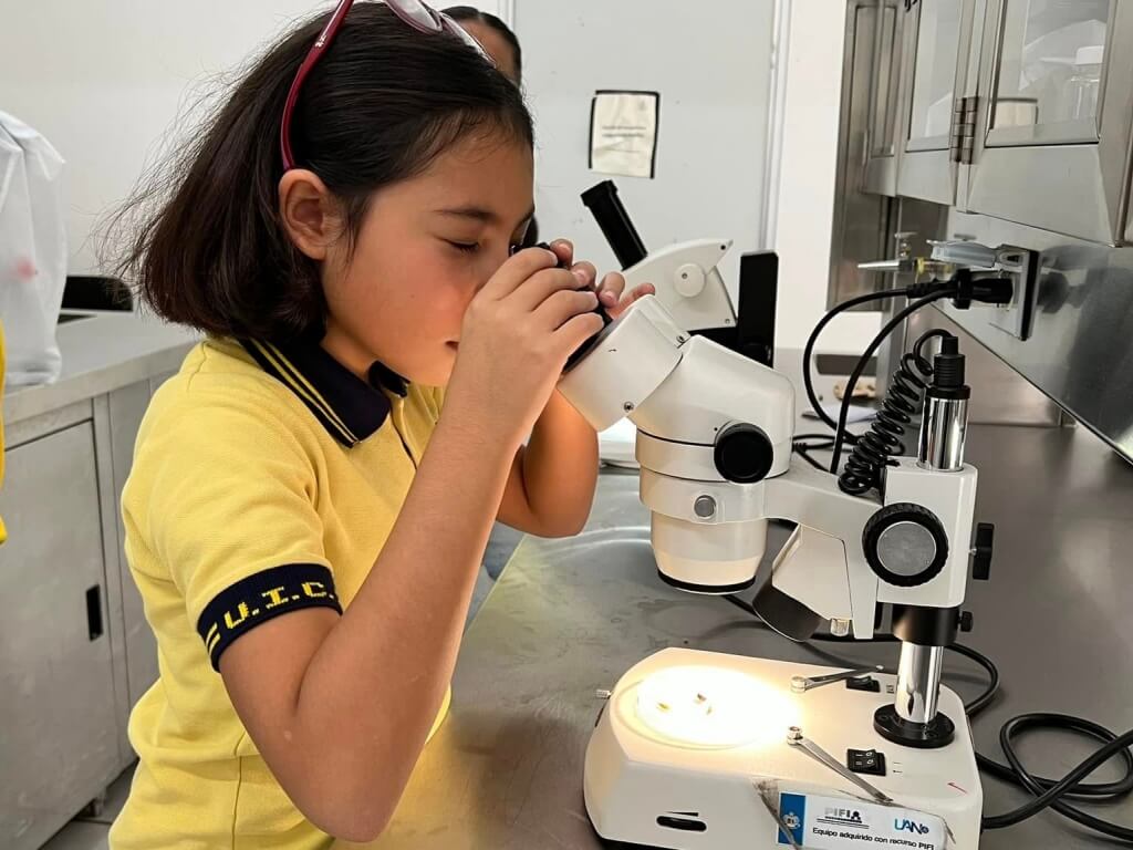 colibri-primaria